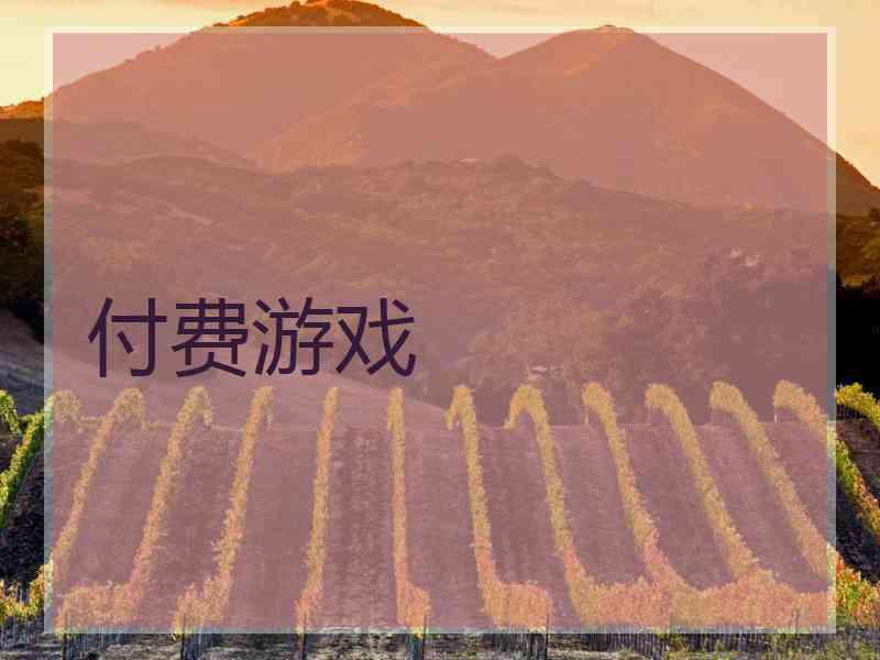 付费游戏