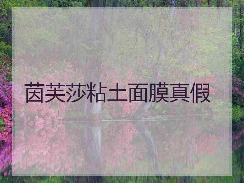 茵芙莎粘土面膜真假