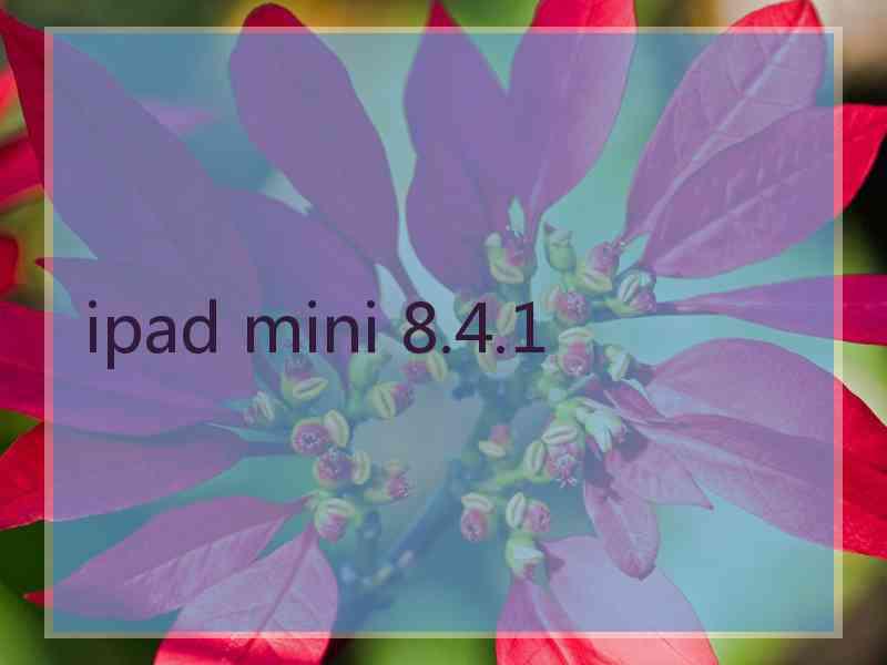 ipad mini 8.4.1