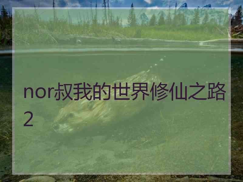 nor叔我的世界修仙之路2
