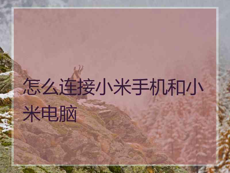 怎么连接小米手机和小米电脑