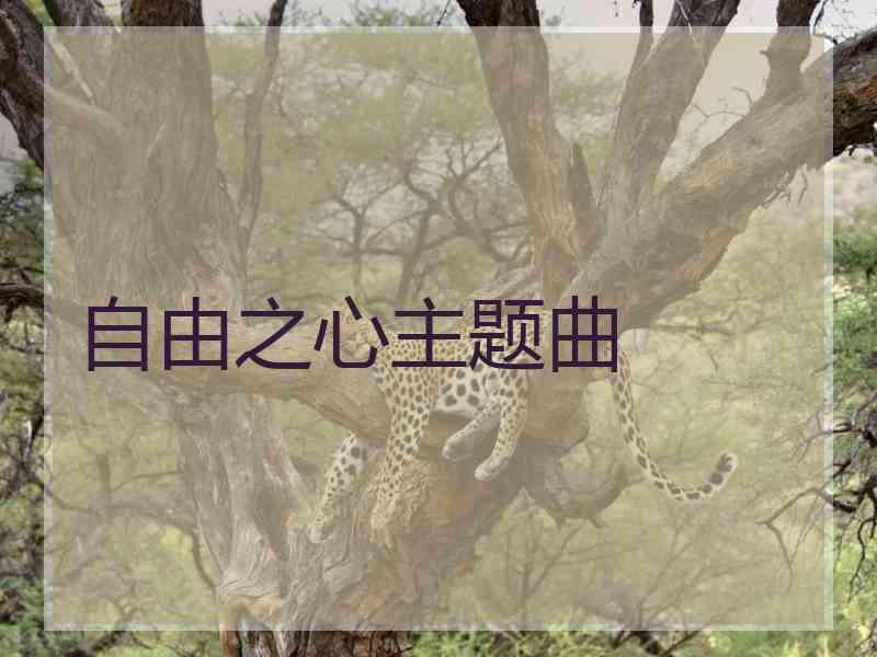 自由之心主题曲