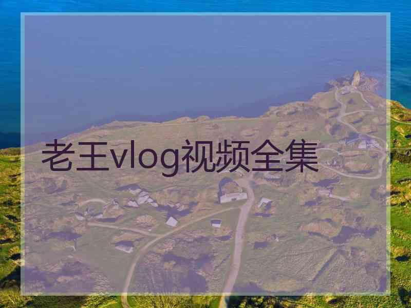 老王vlog视频全集