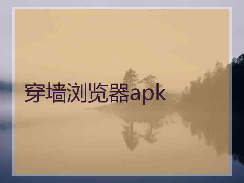 穿墙浏览器apk