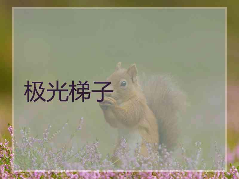 极光梯子