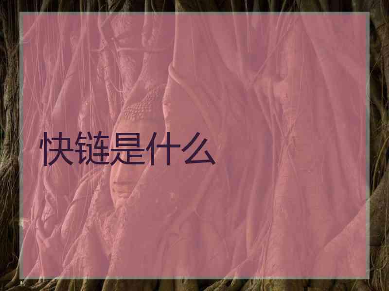 快链是什么