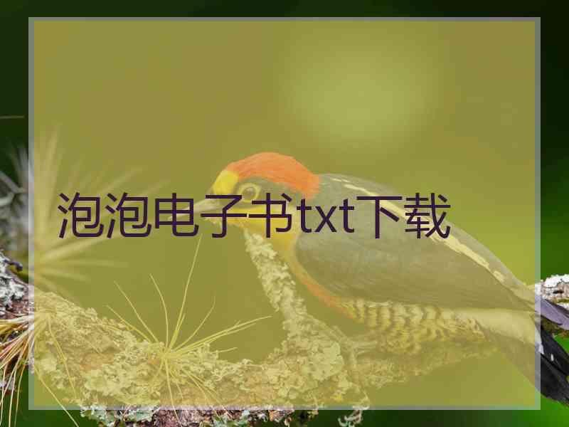 泡泡电子书txt下载