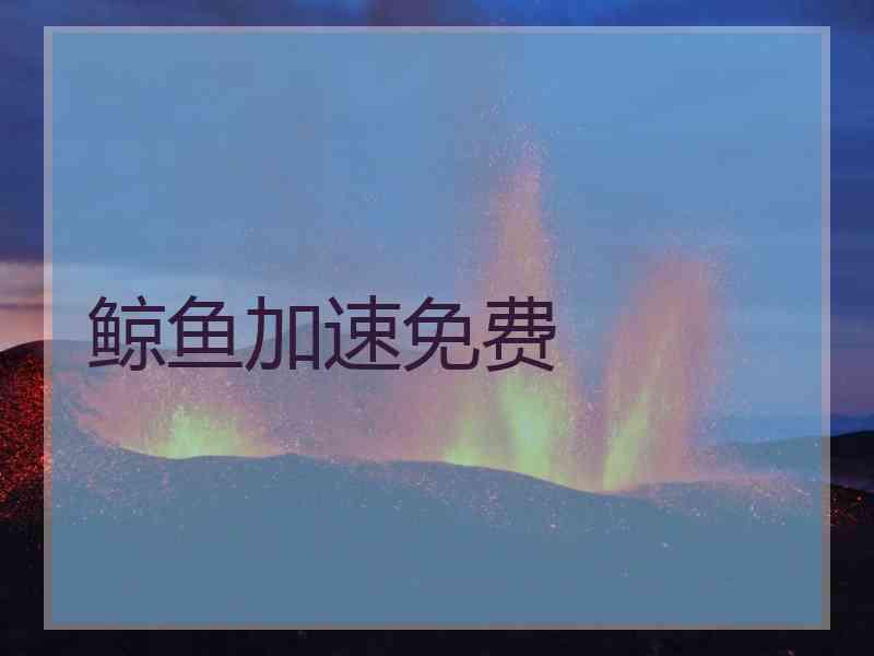 鲸鱼加速免费