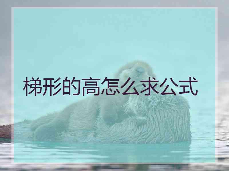 梯形的高怎么求公式