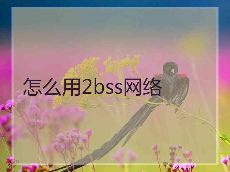 怎么用2bss网络