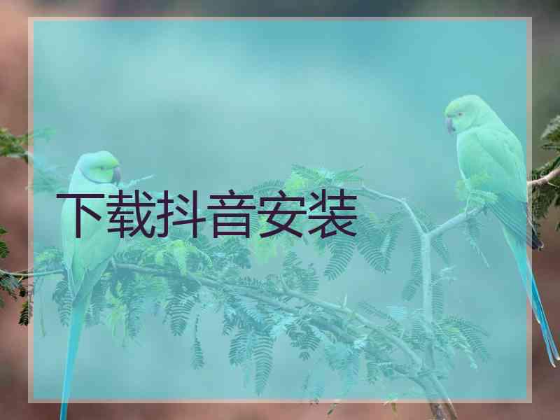 下载抖音安装