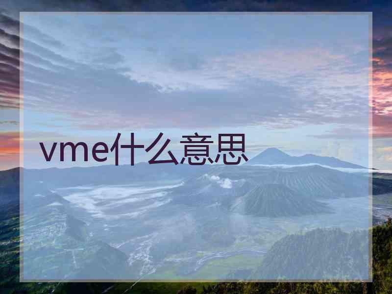 vme什么意思