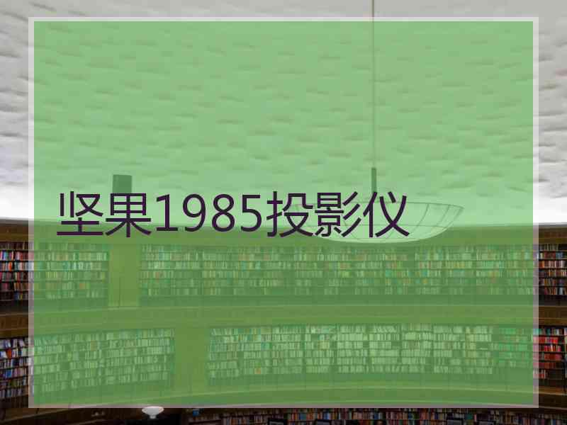 坚果1985投影仪