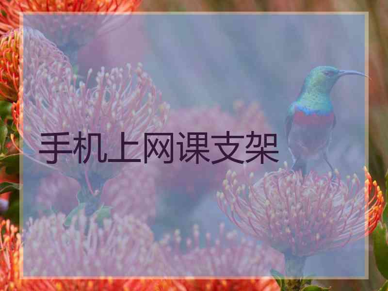 手机上网课支架