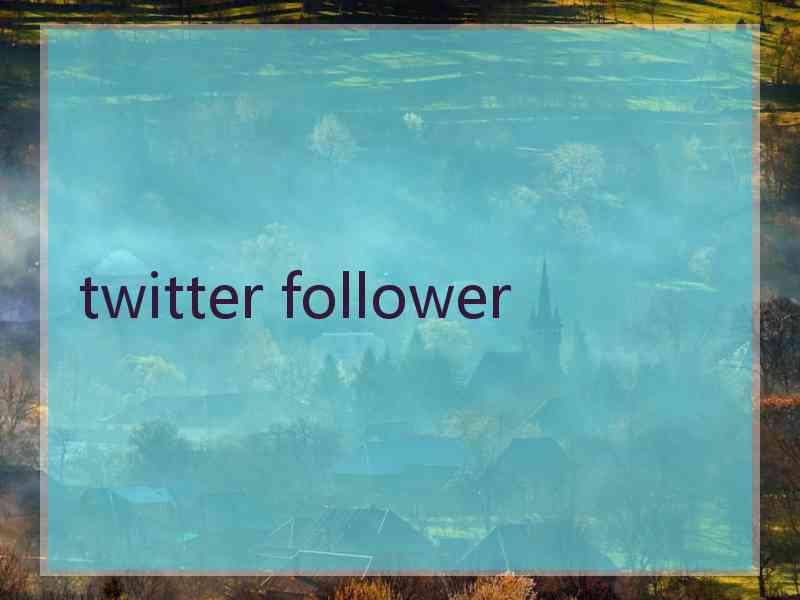 twitter follower