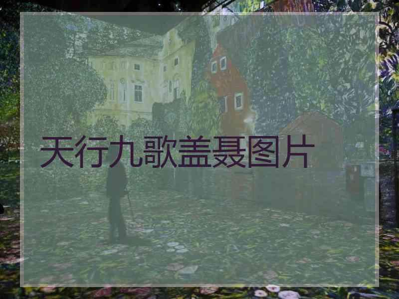 天行九歌盖聂图片
