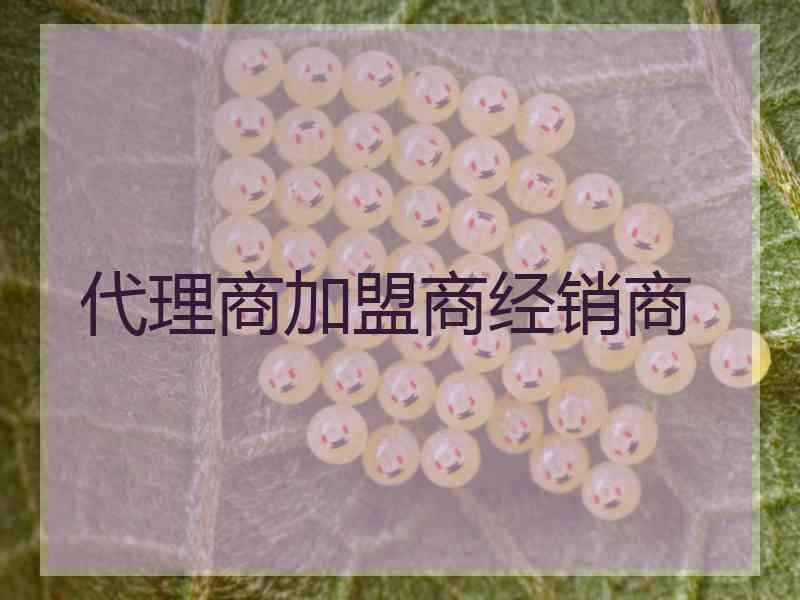 代理商加盟商经销商
