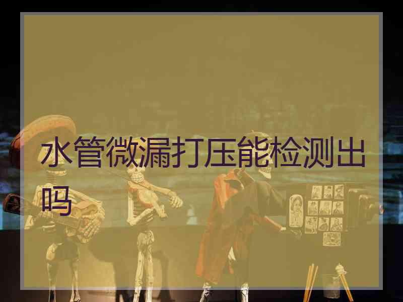 水管微漏打压能检测出吗