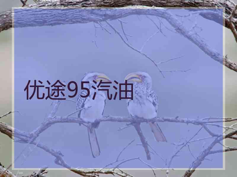 优途95汽油