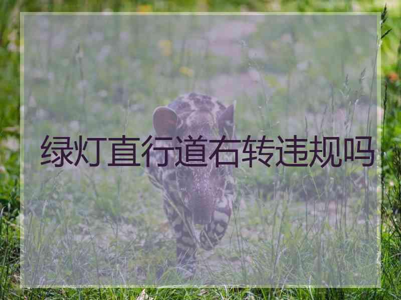 绿灯直行道右转违规吗