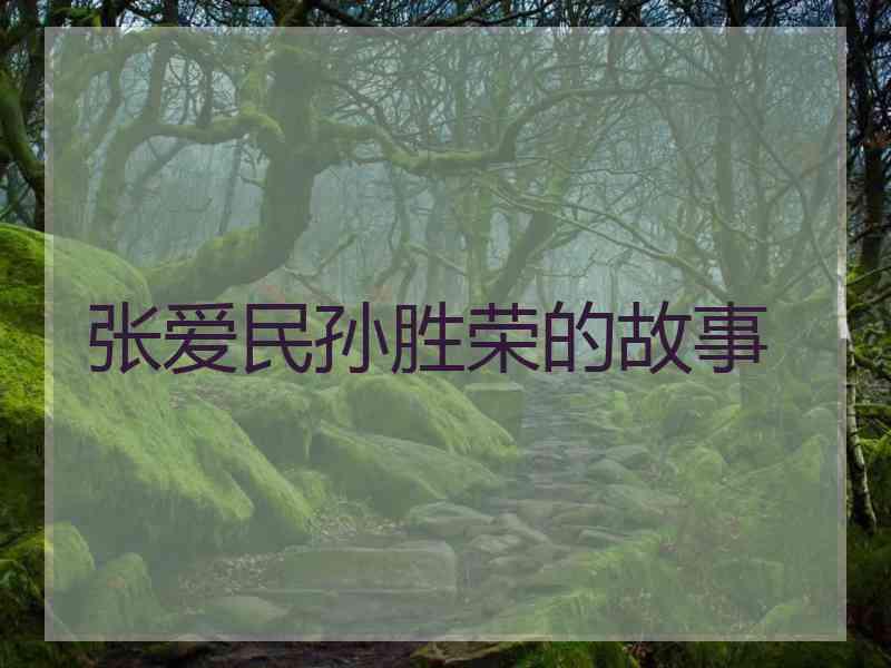 张爱民孙胜荣的故事