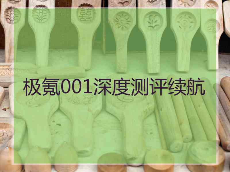 极氪001深度测评续航