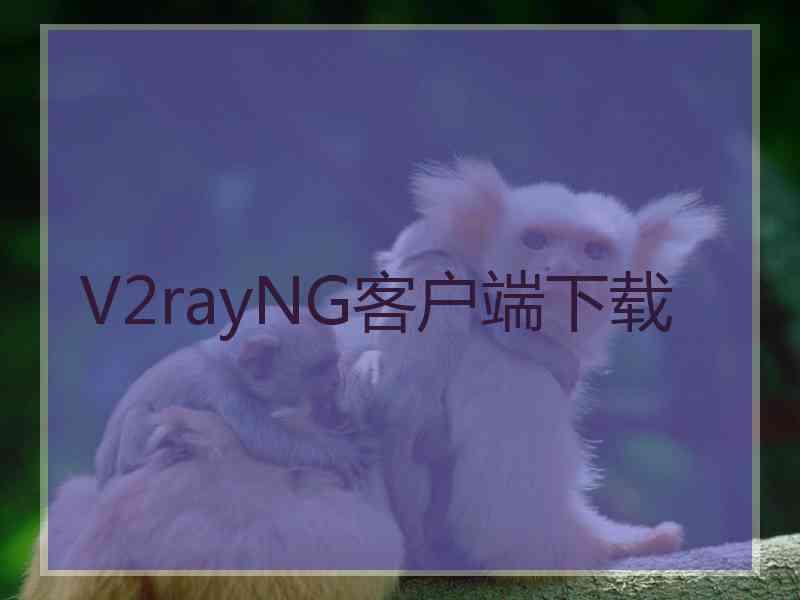 V2rayNG客户端下载
