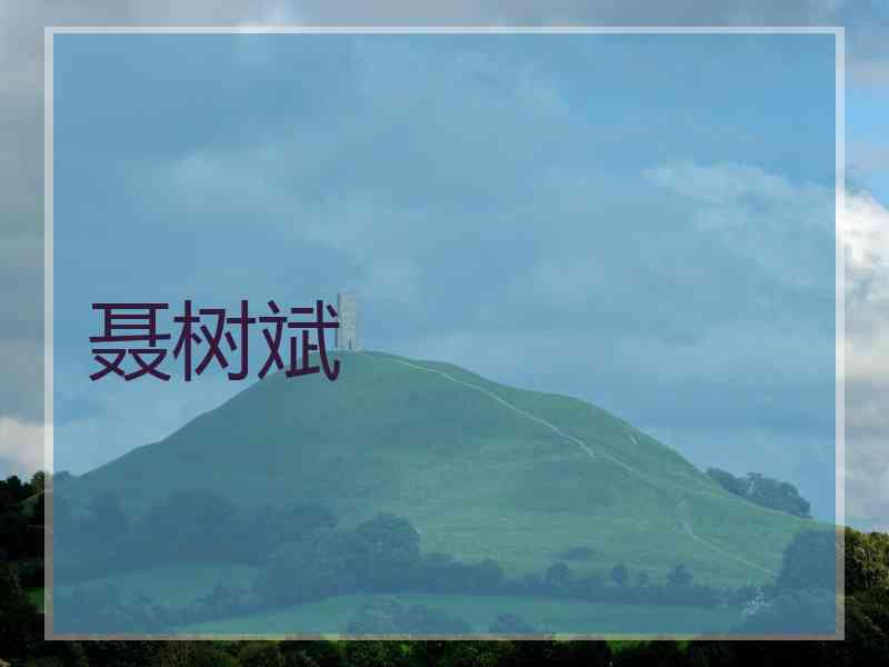 聂树斌