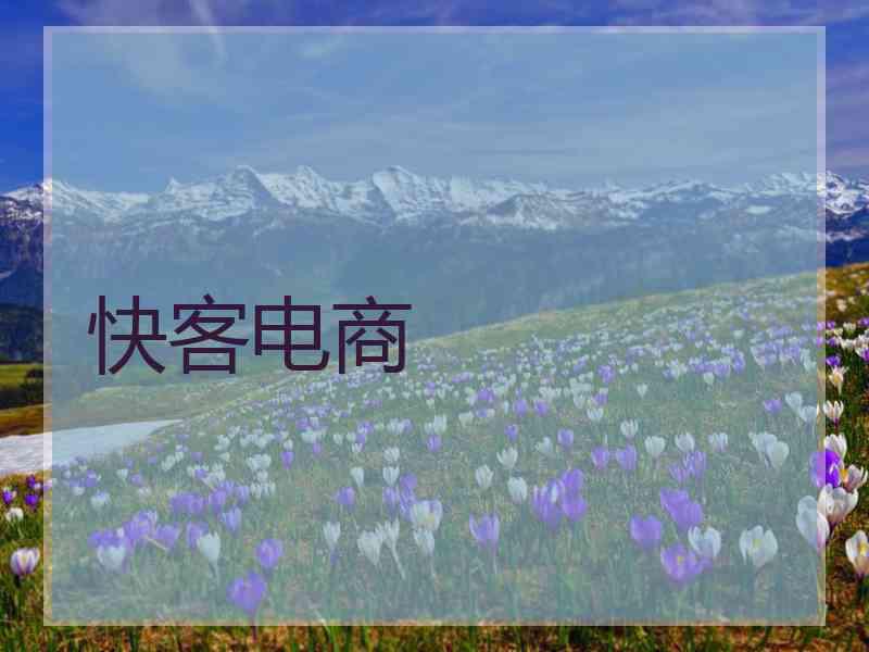 快客电商