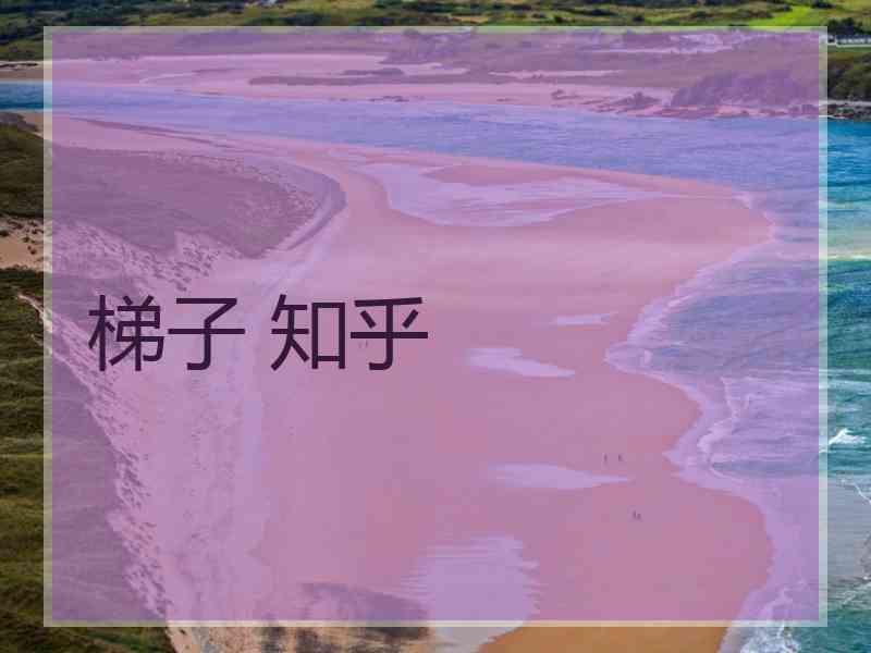 梯子 知乎
