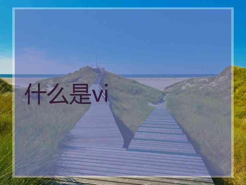 什么是vi