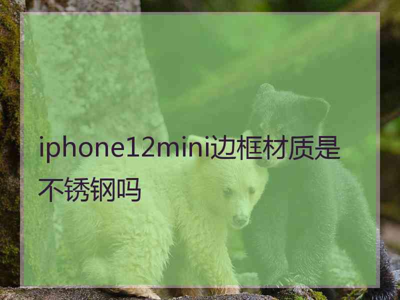 iphone12mini边框材质是不锈钢吗