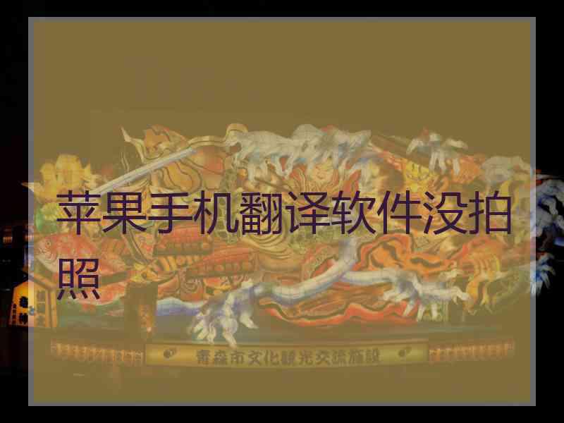 苹果手机翻译软件没拍照