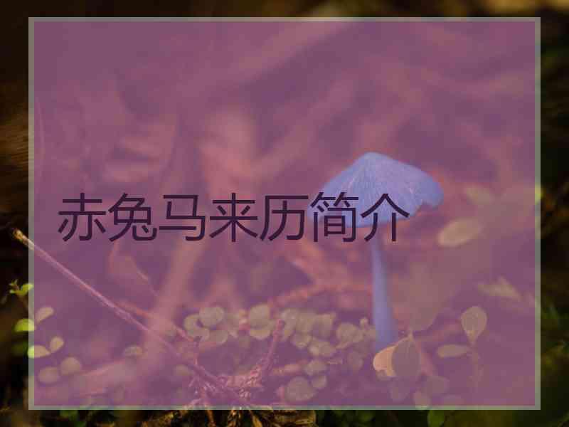 赤兔马来历简介