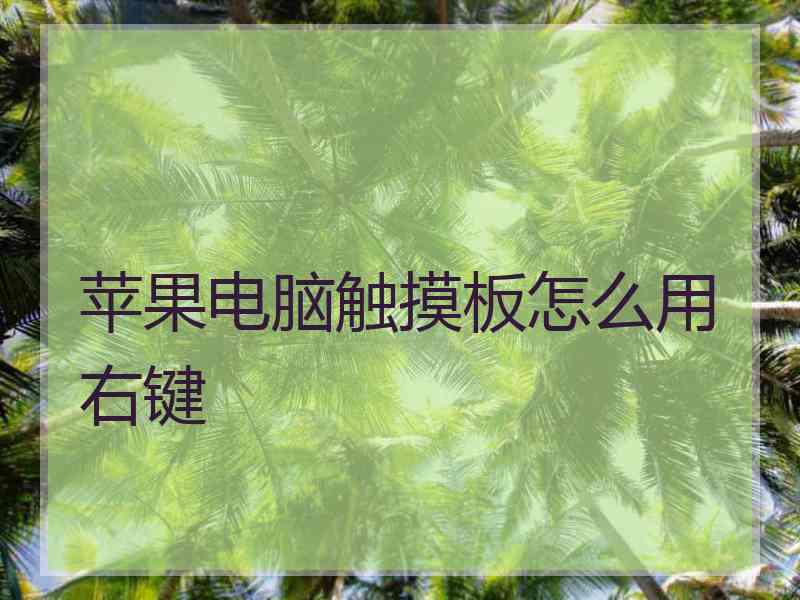 苹果电脑触摸板怎么用右键