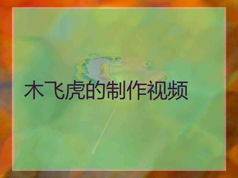 木飞虎的制作视频