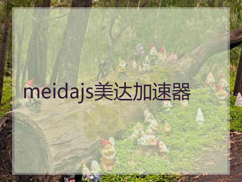 meidajs美达加速器