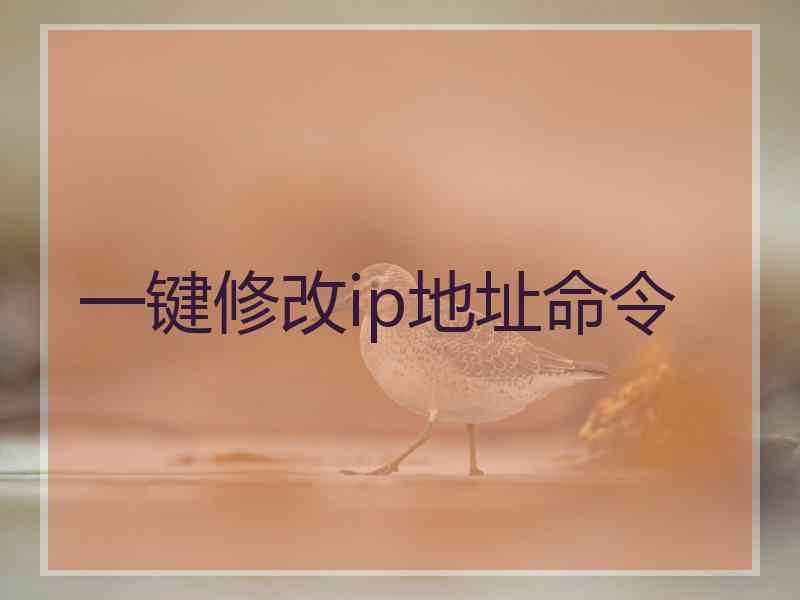 一键修改ip地址命令