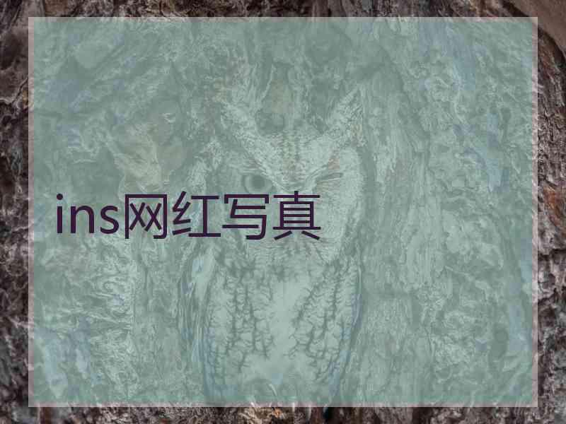 ins网红写真