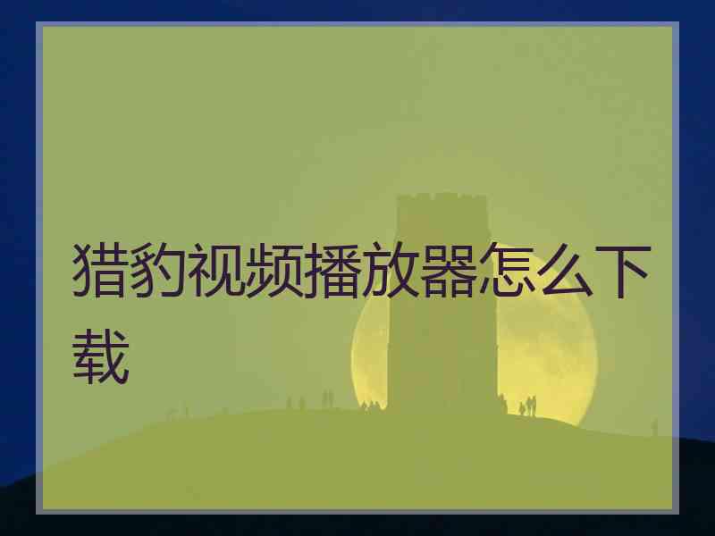 猎豹视频播放器怎么下载