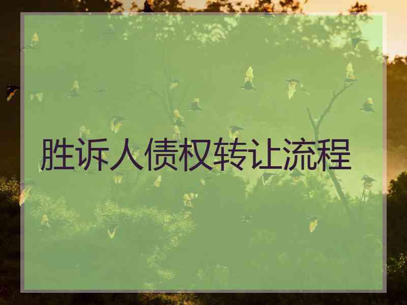 胜诉人债权转让流程