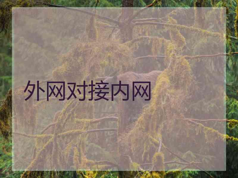 外网对接内网