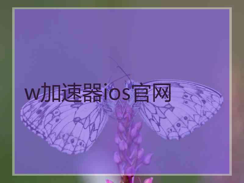 w加速器ios官网