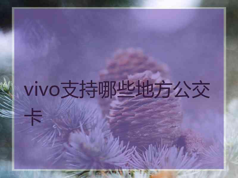 vivo支持哪些地方公交卡