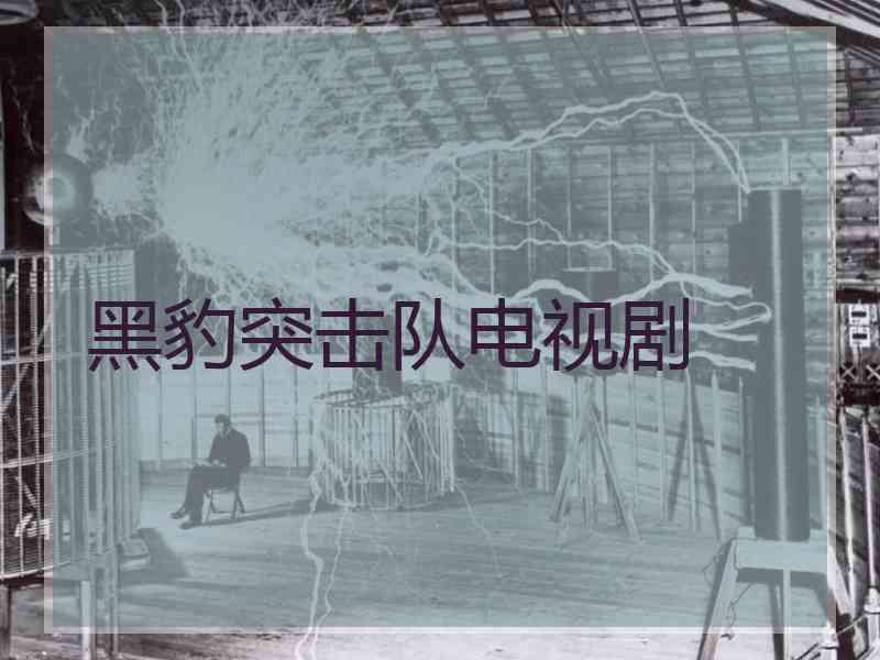 黑豹突击队电视剧