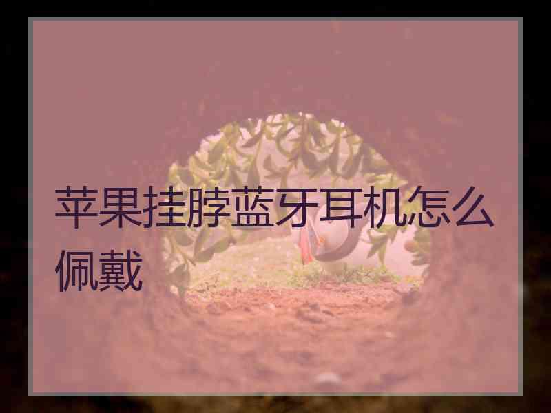 苹果挂脖蓝牙耳机怎么佩戴