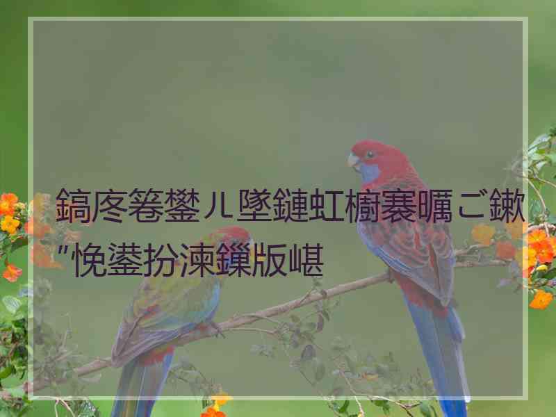 鎬庝箞鐢ㄦ墜鏈虹櫥褰曞ご鏉″悗鍙扮湅鏁版嵁