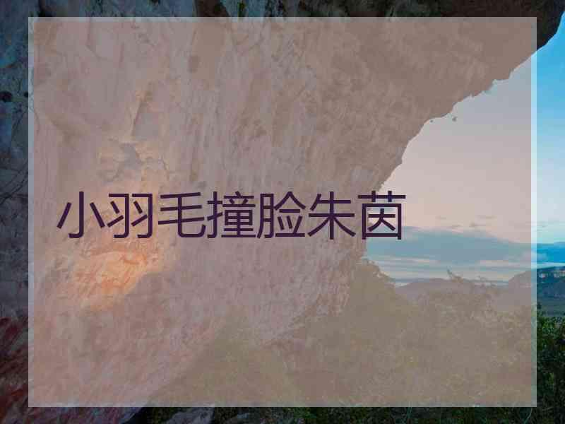 小羽毛撞脸朱茵