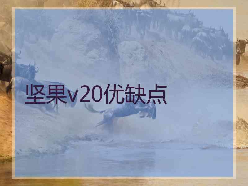 坚果v20优缺点