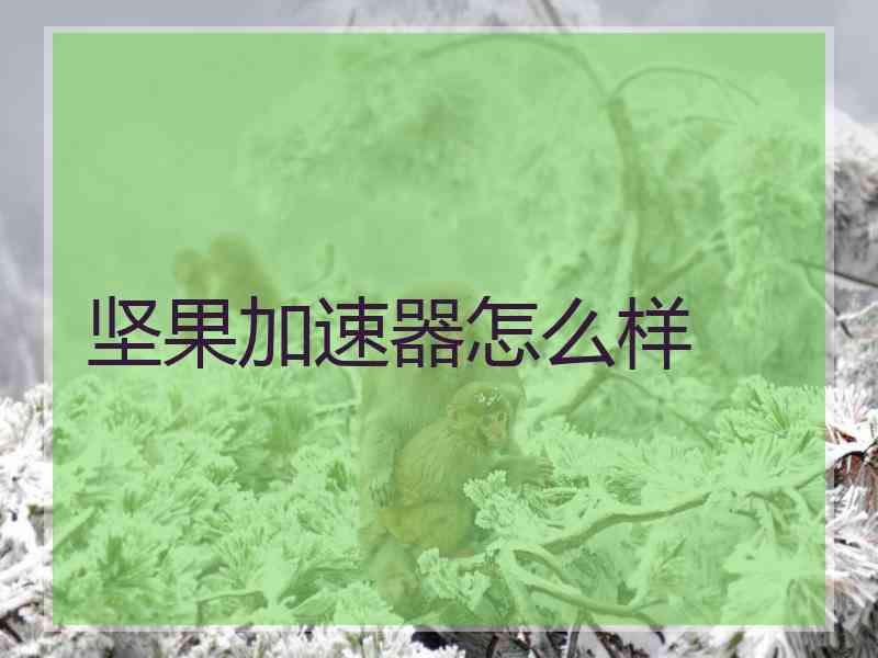 坚果加速器怎么样